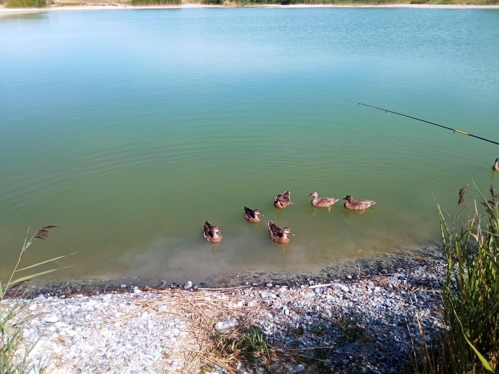 gite repos et tranquillité G Cayeux-sur-Mer Esterno foto