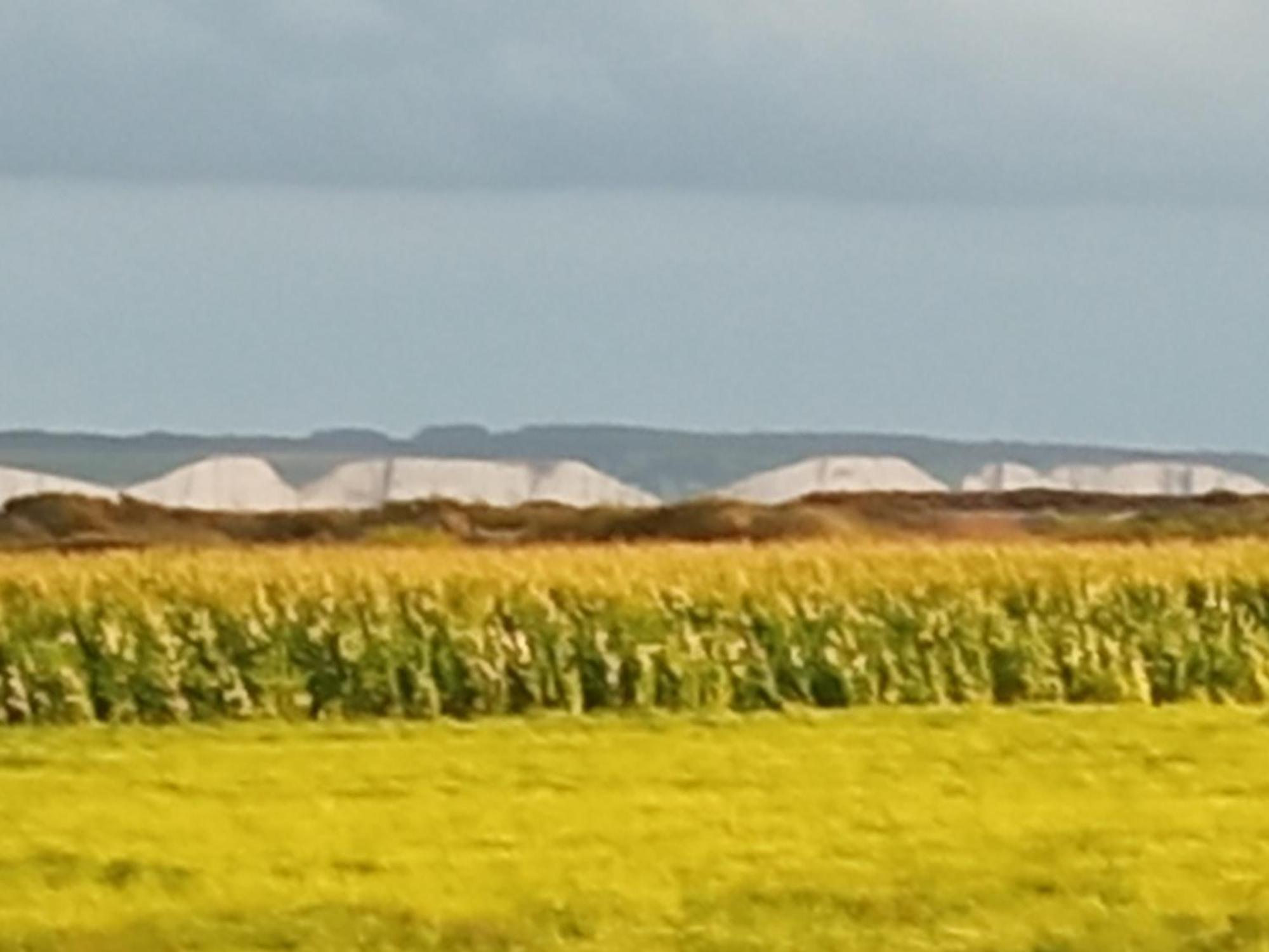 gite repos et tranquillité G Cayeux-sur-Mer Esterno foto